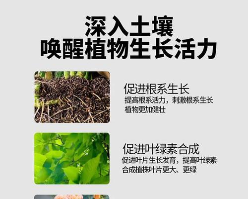 复合肥花卉绿植有哪些？它们的使用效果如何？