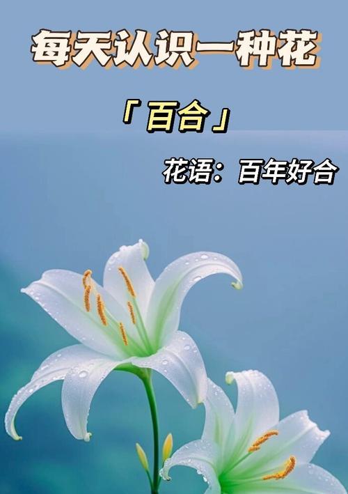 什么花花语最好？哪种花卉的寓意最令人向往？