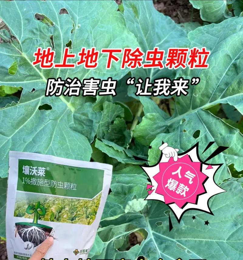 噻虫胺的标准是什么？它在农业应用中的重要性如何？