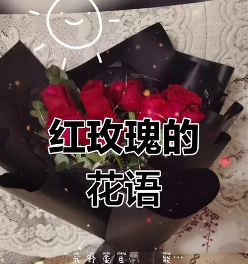 11朵粉色玫瑰的花语是什么？