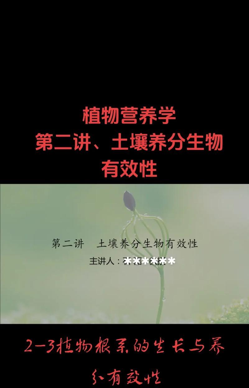 植物根系多久可以长？如何促进根系发展？