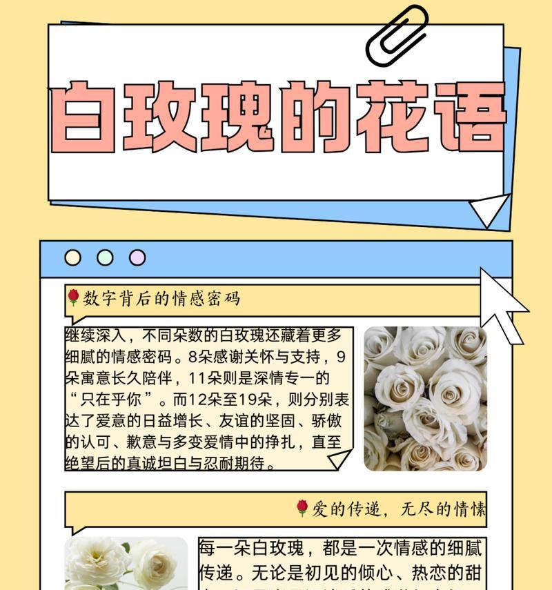 三朵白玫瑰六朵红玫瑰的花语是什么？