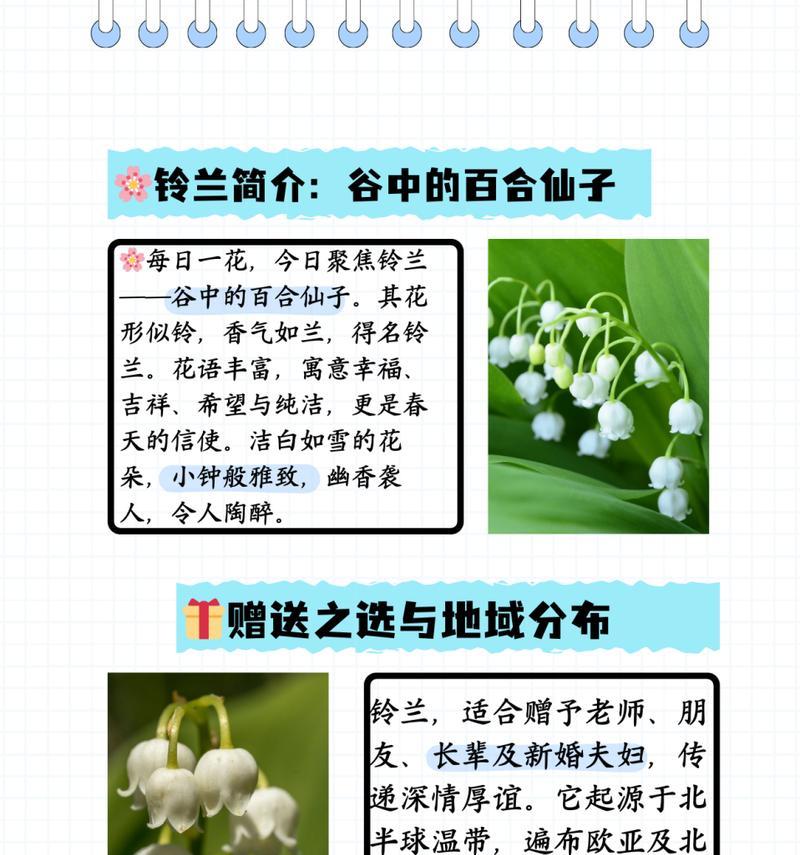 铃兰花的象征意义是什么？在不同文化中有何差异？