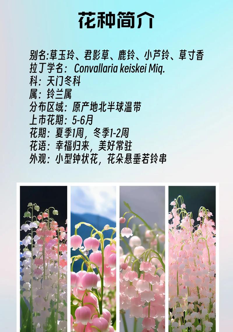 铃兰花的象征意义是什么？在不同文化中有何差异？