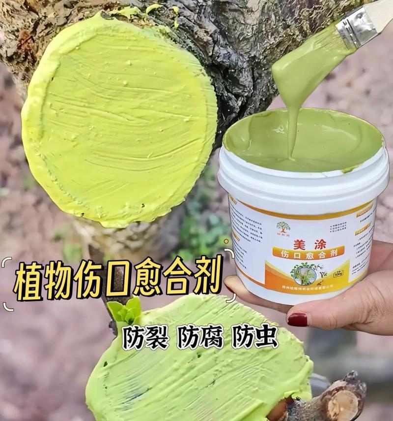 使用伤口愈合剂植物需要多久才能愈合？如何加速伤口愈合？