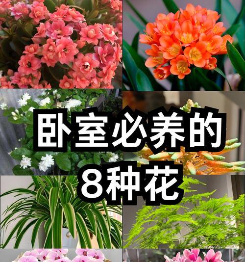 小花床单的寓意是什么？它如何影响睡眠质量？