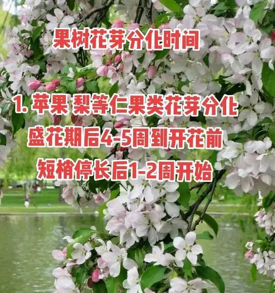 果树和花卉的最佳施肥时间是什么时候？