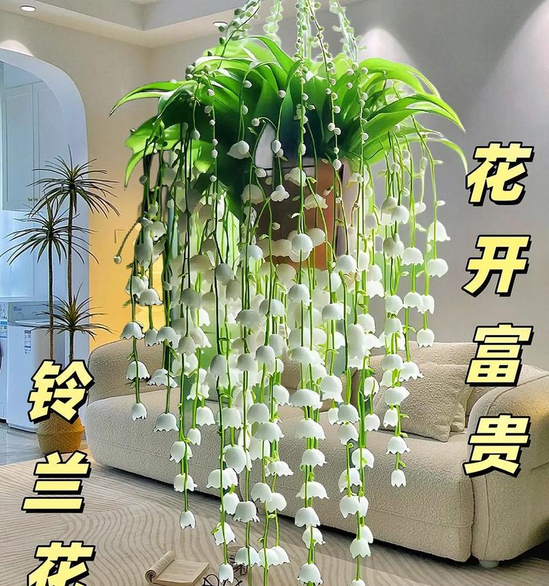 盆栽中哪种花的花语最好？盆栽花卉的花语有哪些？