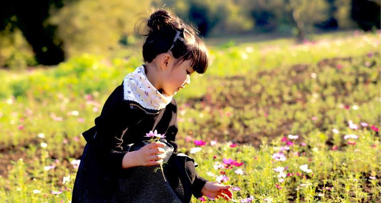 龙牙百合种植种苗时间是多少？最佳种植季节是什么时候？