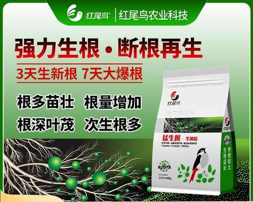 买植物根系怎么评论？如何判断植物根系的健康状况？