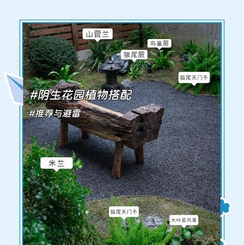 阴面种植花卉需要注意什么？阴面种植花卉的正确方法是什么？