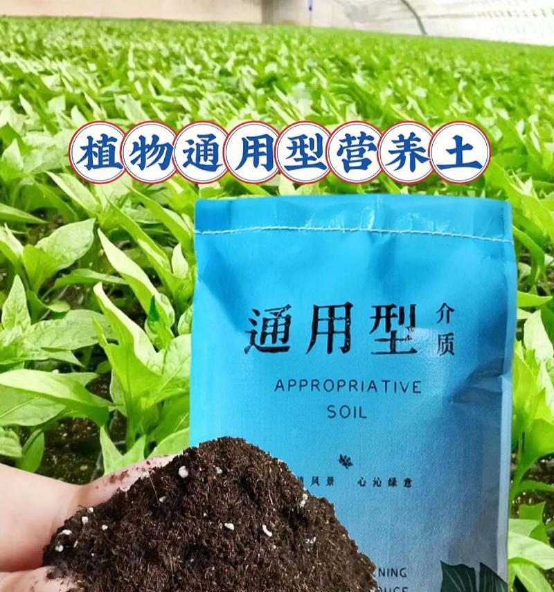 盆栽植物应该使用哪种营养土？哪种营养土最适合？