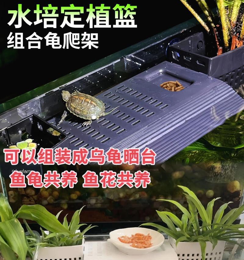 鱼缸植物水培如何沉底？有哪些技巧？