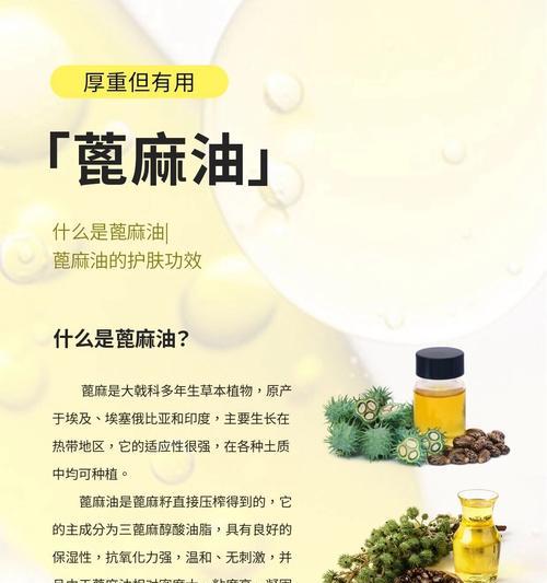 植物油的种类有哪些？不同种类的植物油有何特点和用途？