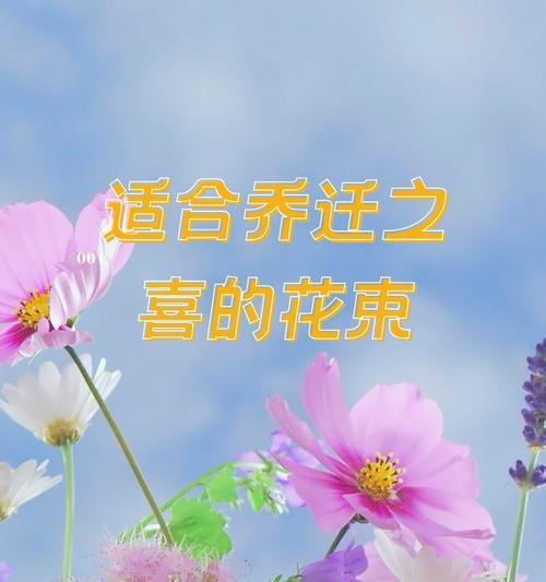 百合花象征的爱情意义是什么？