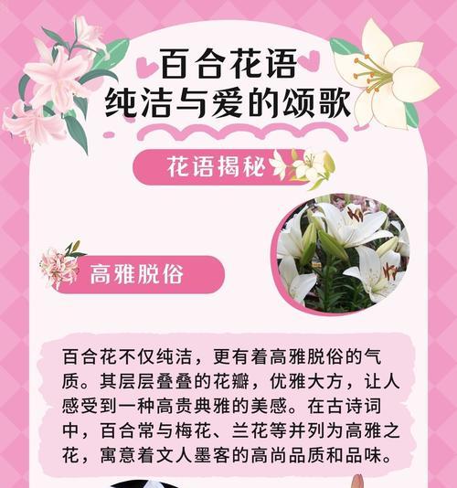 百合花象征的爱情意义是什么？