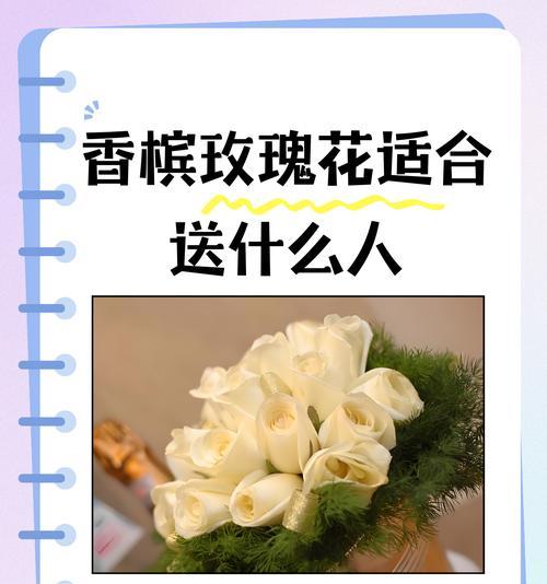 包里藏玫瑰花有何寓意？它通常用来传达什么信息？