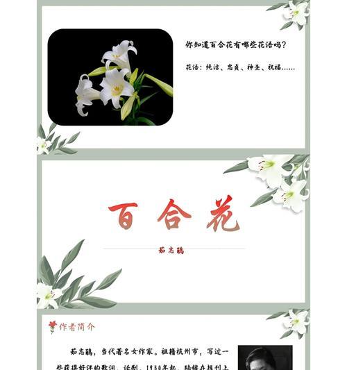 绿百合有哪些独特特征及其花语？