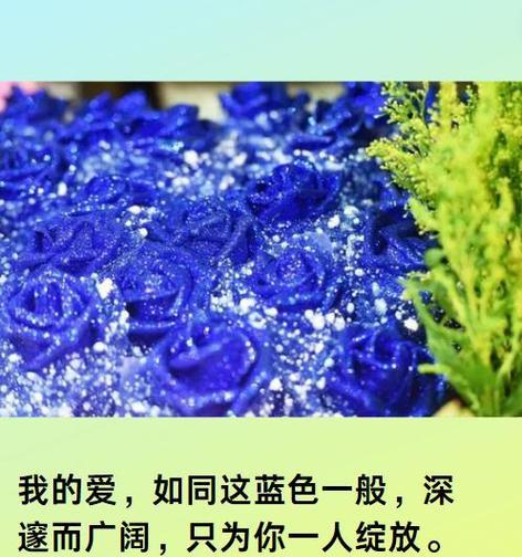 送给男朋友袖子玫瑰花有何深意？这种花语代表了什么情感？