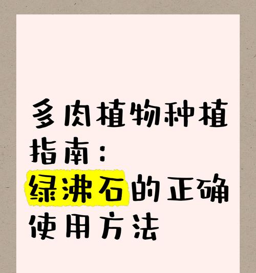 多肉植物移栽的最佳方法是什么？