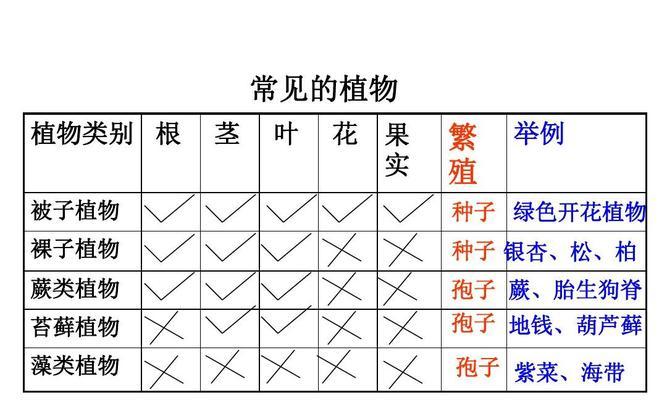 植物茎部受伤后如何补救？有哪些有效的处理方法？