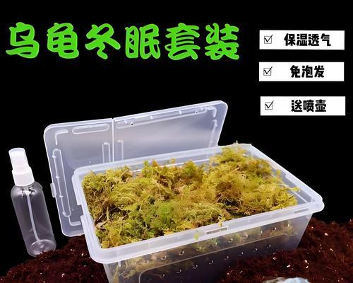 适合龟类的植物有哪些，它们的养护要点是什么？