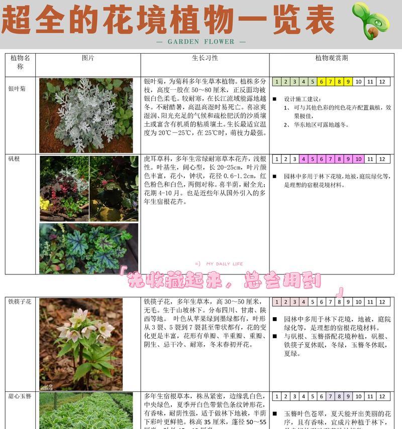 花卉学的标题选择需要注意什么？