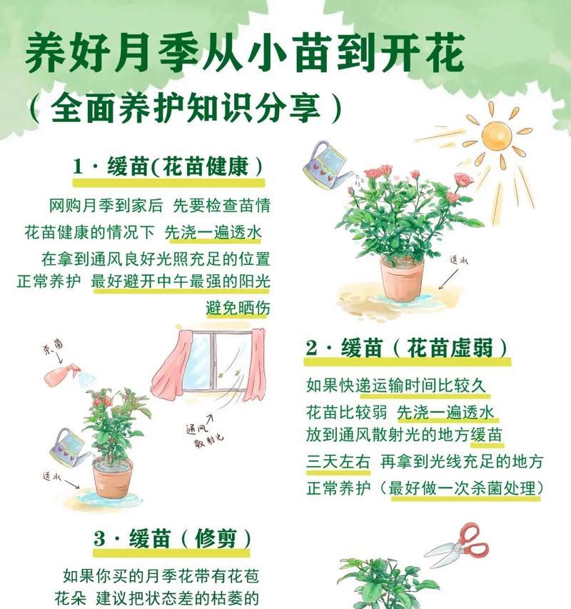 花卉学的标题选择需要注意什么？