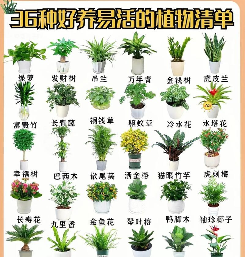 花卉学的标题选择需要注意什么？