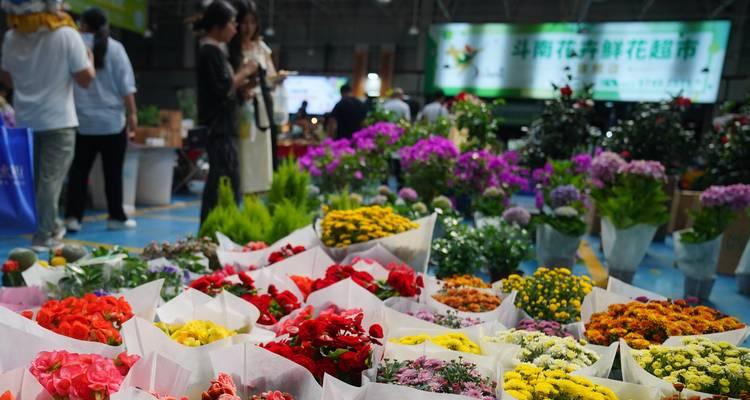 斗门区有哪些花卉种植合作社？它们提供哪些服务？