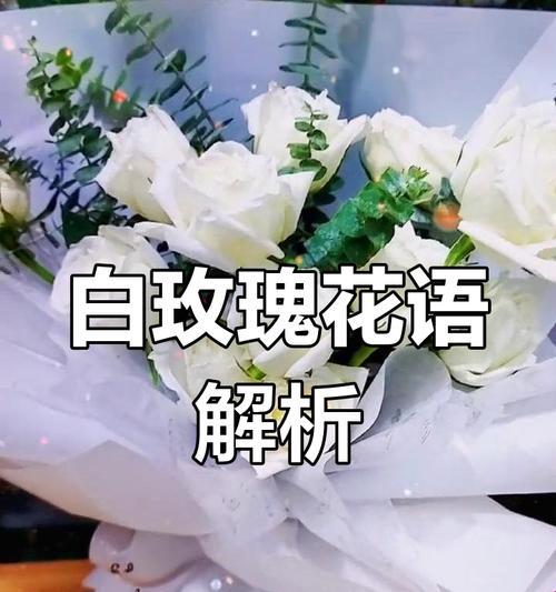 男生送白玫瑰给女生代表什么？