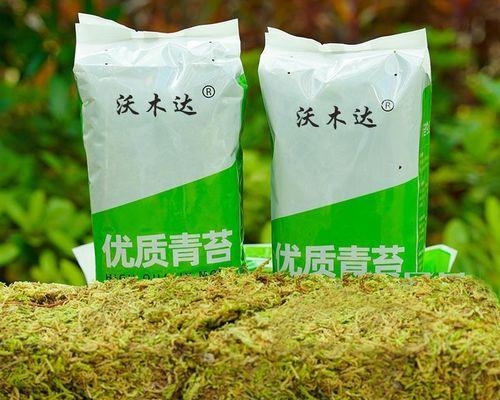 营养土苔藓中有哪些植物？它们的生长环境如何？