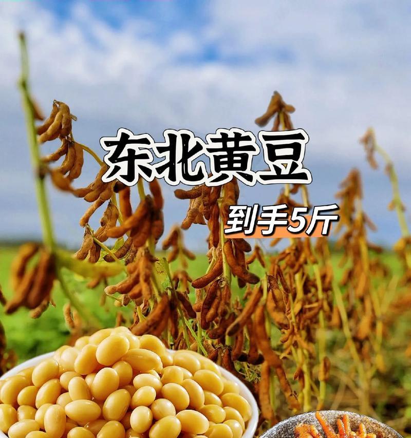 植物性蛋白的定义是什么？它对人体有哪些益处？