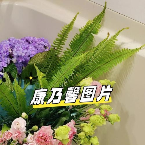 康乃馨的花语是什么？它象征着哪些祝福？