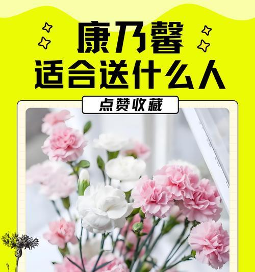 康乃馨的花语是什么？它象征着哪些祝福？