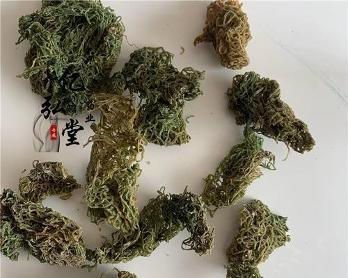 海里的矿物类植物有哪些？