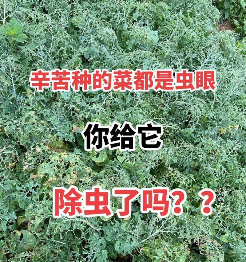 如何避免不小心把植物弄死？