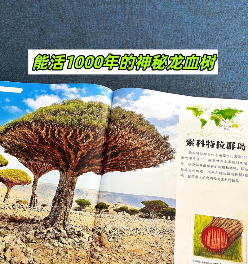 世界上为什么会有植物存在？植物对地球有什么重要性？