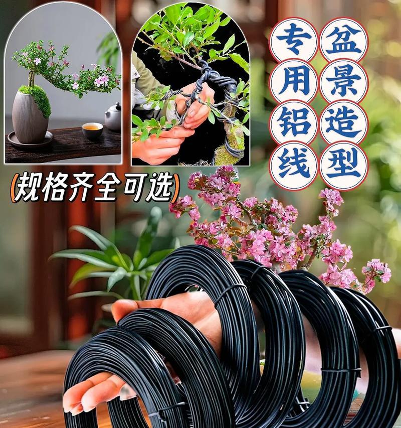 怎么给植物定型铝线？植物定型铝线的使用方法是什么？