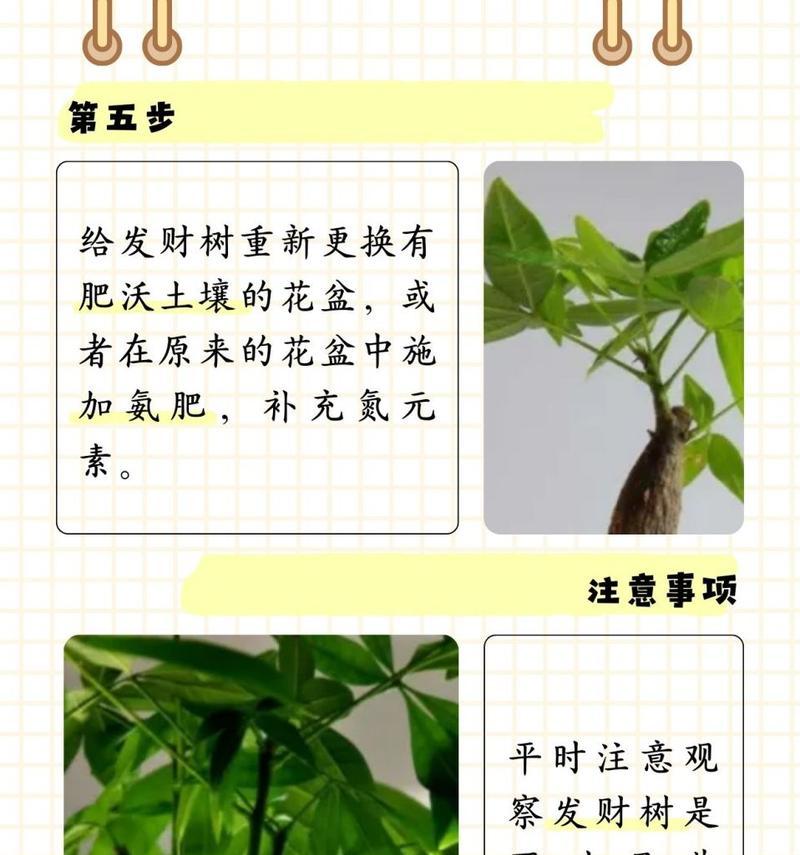 植物发黄是缺水还是病害？如何正确处理？