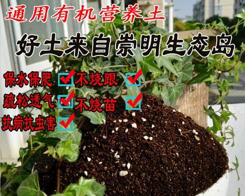 炭泥花卉营养土的作用是什么？使用时应注意什么？