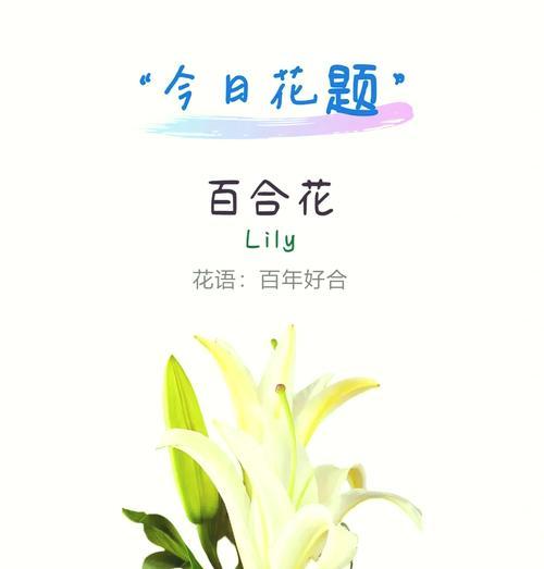 白合花的花语有哪些？白合花代表了什么？