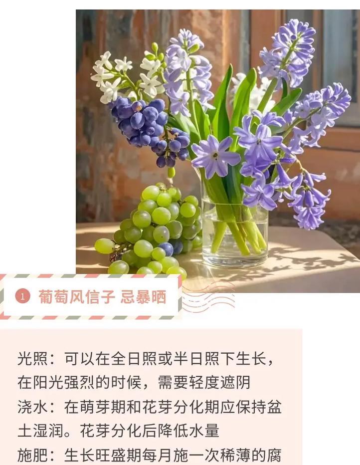 甜蜜花卉盆栽的养殖方法是什么？如何保持花色鲜艳？