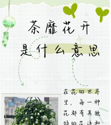 每种花的花语分别是什么？它们各自代表了什么？