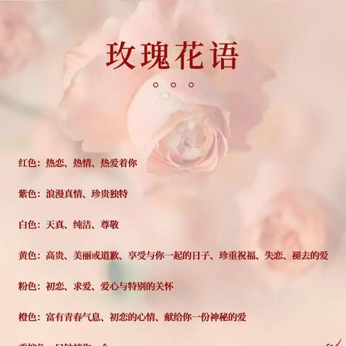 送给女朋友什么花最合适？花语中哪些花代表爱情？