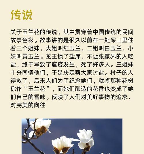 寓意和花语有什么区别？粉玉兰和白玉兰的花语是什么？