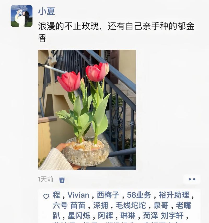 家庭种植郁金香的花语有何含义？