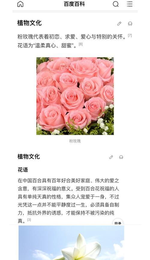 寓意长长久久的花有哪些？它们的花语是什么？