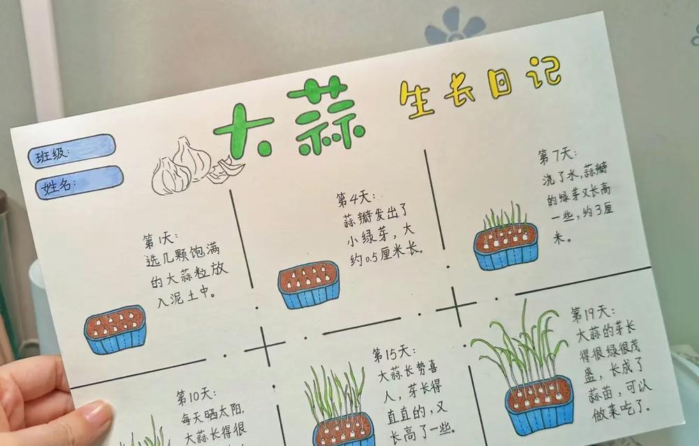 透明盆仙人掌的种植方法是什么？如何正确种植透明盆仙人掌？