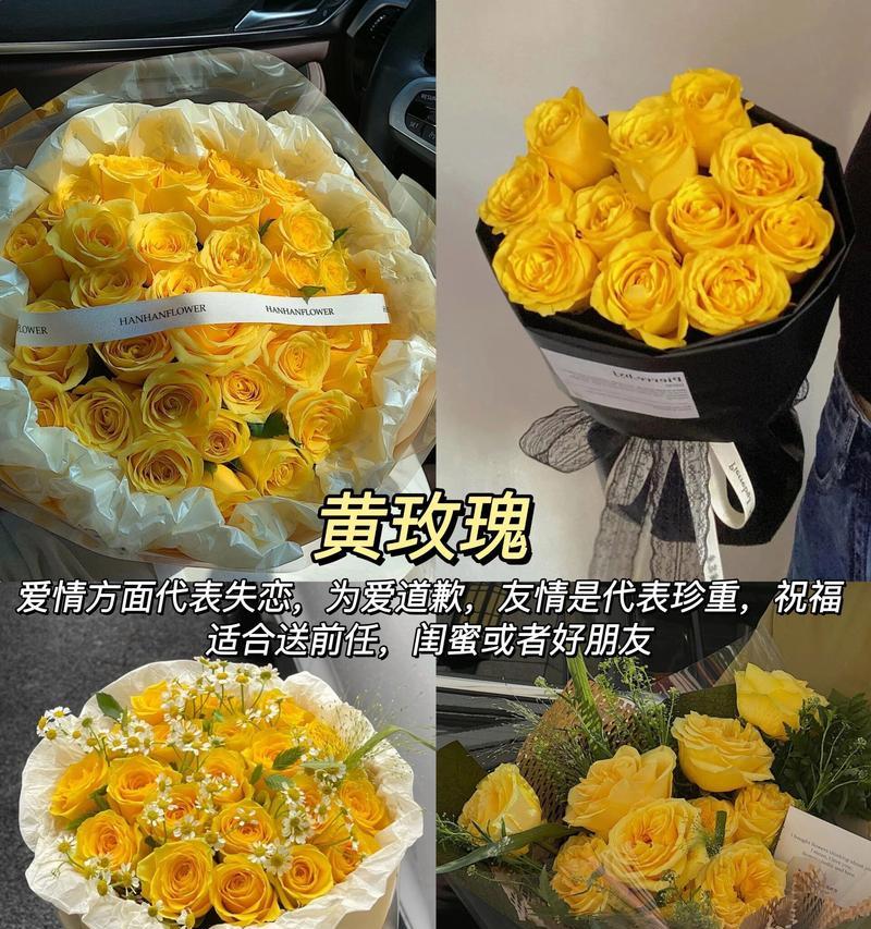 前任送玫瑰花有何含义？哪种颜色的玫瑰最合适？